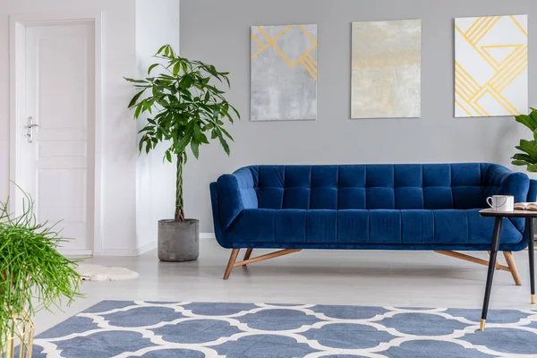 Graphic paintings on a gray wall behind a luxuries velvet dark blue couch in an elegant living room interior with gold accents. Real photo.