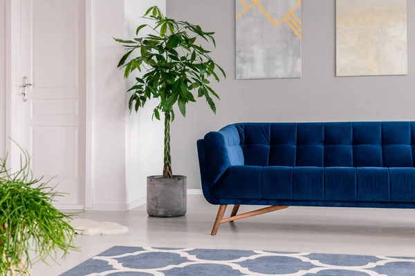 Waiting Room Interior Luxurious Clinic Furnished Velvet Dark Blue Sofa — Stock Photo, Image