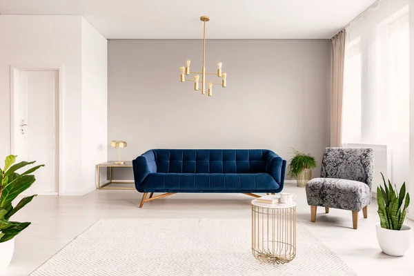 复制空间客厅内部与深蓝色的沙发 灰色扶手椅和金色的口音 真实照片 — 图库照片