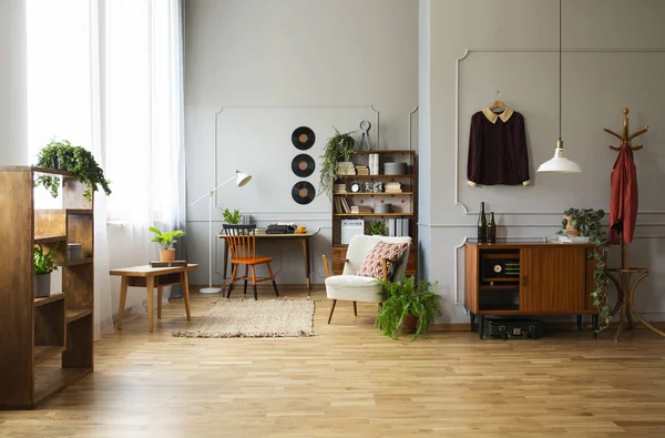 Pflanze Auf Holzschrank Und Sessel Geräumiger Retro Wohnung Mit Stuhl — Stockfoto