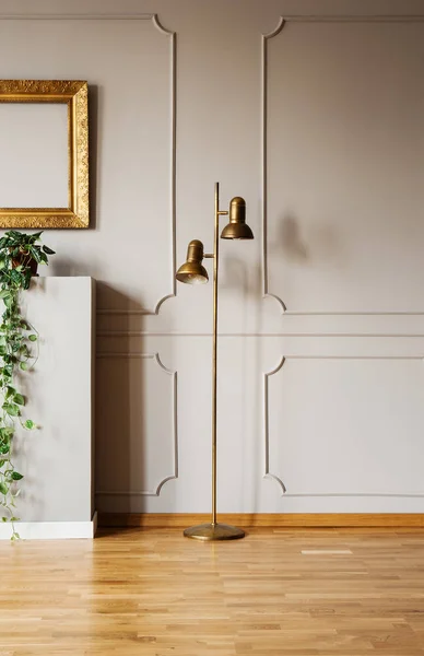 Gold lamp against grey wall with molding in loft interior with frame and plant. Real photo