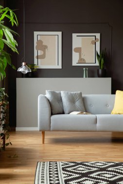 Modern kanepe yastık ve salon iç gri bir duvar iki tablo ile. Gerçek fotoğraf