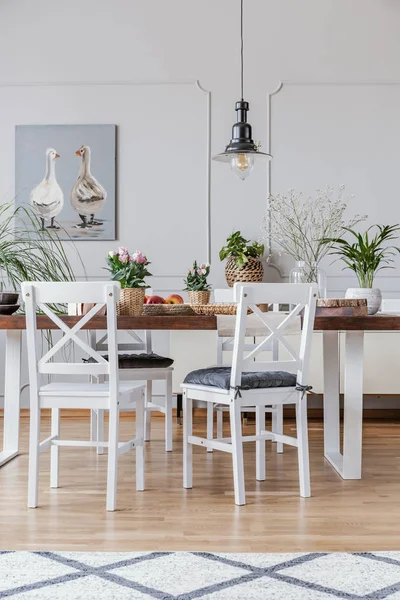 Gedessineerde Tapijt Poster Witte Eetkamer Interieur Met Stoelen Aan Houten — Stockfoto