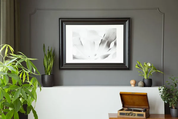 Közelről Egy Festmény Egy Fekete Keretet Növények Fonográf Asztal Fal — Stock Fotó