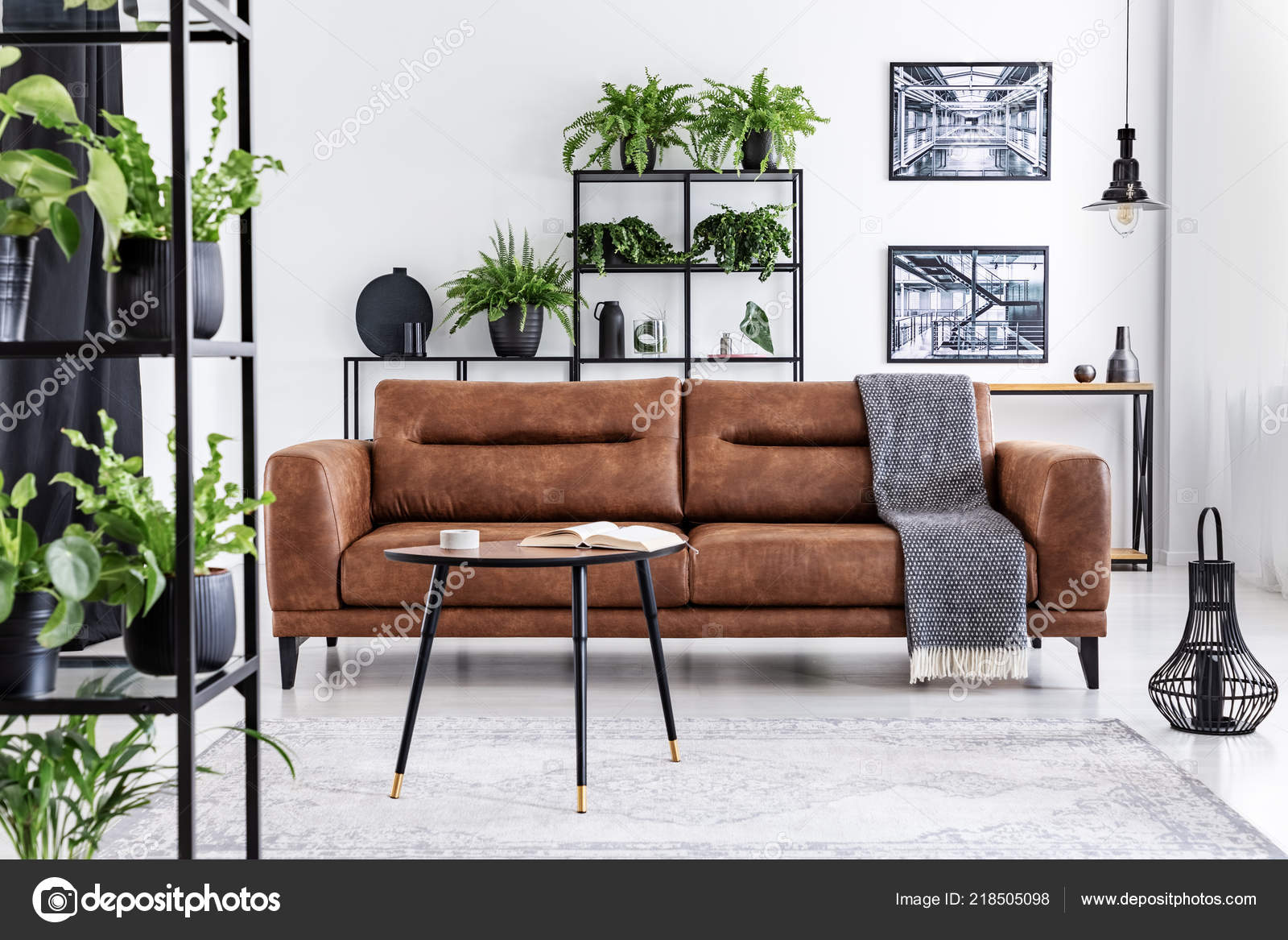 Blanket Brown Leather Settee Living Room Interior Posters Plants