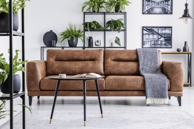 Tablo ile battaniye bitkiler ve posterler beyaz iç kahverengi deri kanepe önünde. Gerçek fotoğraf