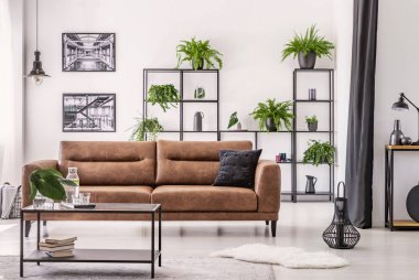 Tablo deri kanepe beyaz daire iç lamba, posterler ve bitkiler ile önünde. Gerçek fotoğraf