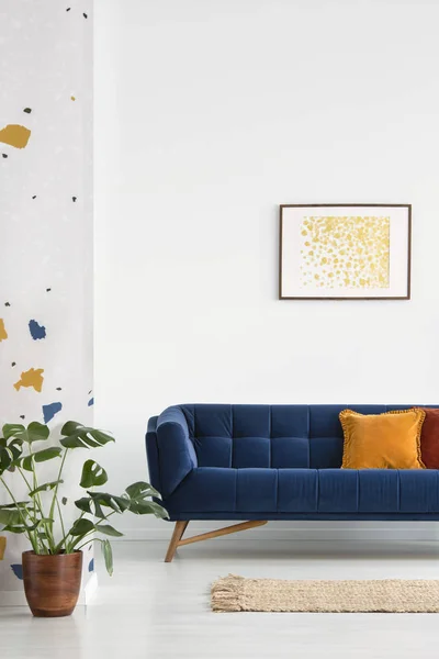 Αφίσα Παραπάνω Μπλε Καναπέ Μαξιλάρια Λευκό Διαμέρισμα Εσωτερικό Φυτό Κουβέρτα — Φωτογραφία Αρχείου