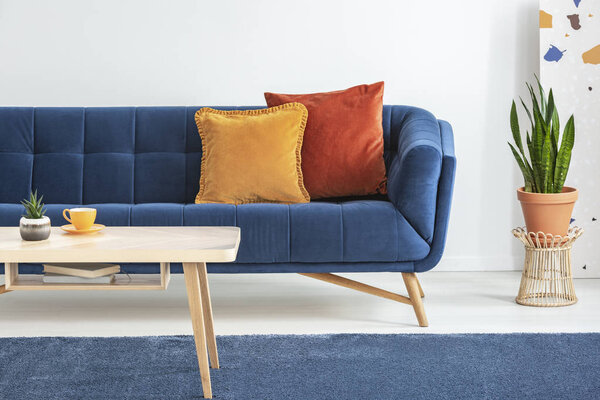 Orange and red cushions on a fancy, navy blue sofa and a basic, wooden coffee table on a navy peony rug in a white living room interior. Real photo.