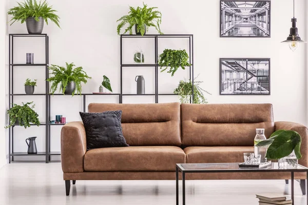 Brown Leather Sofa Table White Living Room Interior Plants Shelves — Stock Photo, Image