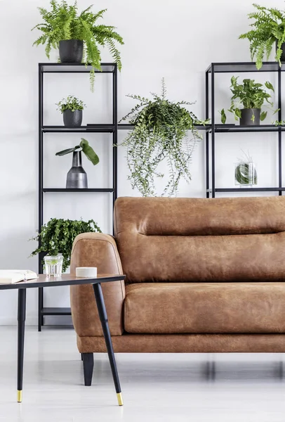 Plantas Prateleiras Branco Moderno Sala Estar Interior Com Mesa Lado — Fotografia de Stock