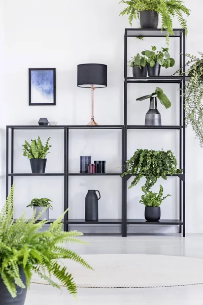 Plantas Lámpara Estantes Interior Sala Estar Blanco Natural Con Cartel —  Fotos de Stock