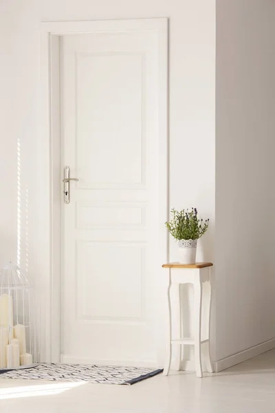 Kwiaty Lawendy Stoliku Obok Drzwi Biały Apartament Wnętrze Świece Dywan — Zdjęcie stockowe