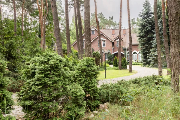 針葉樹低木 英語スタイルの家と森の実際の写真 — ストック写真