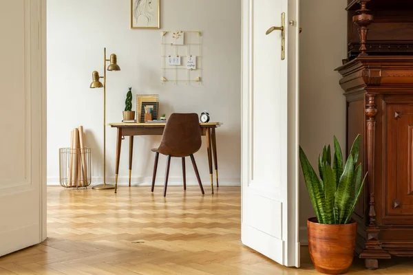 Planta Verde Por Porta Branca Interior Escritório Casa Freelancer Com — Fotografia de Stock