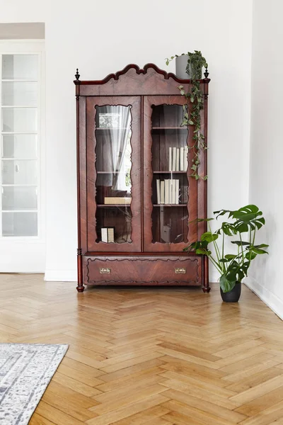 Planta Monstera Junto Vitrina Madera Oscura Con Puertas Cristal Salón — Foto de Stock