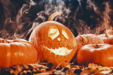 Bir komik Cadılar Bayramı fener kabak duman ile koyu arka plan üzerinde yapılan