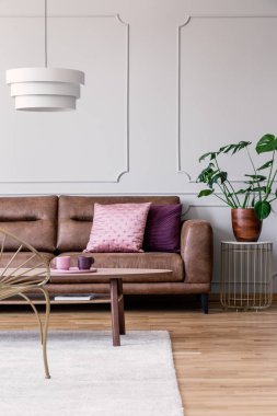 Masaya sonraki deri kanepe beyaz daire iç altın sandalye ve lamba ile bitki. Gerçek fotoğraf