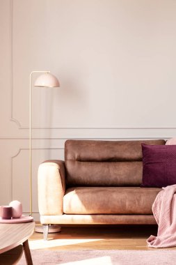 Pembe battaniye ve yastık beyaz daire iç deri kanepenin yanındaki lamba. Gerçek fotoğraf