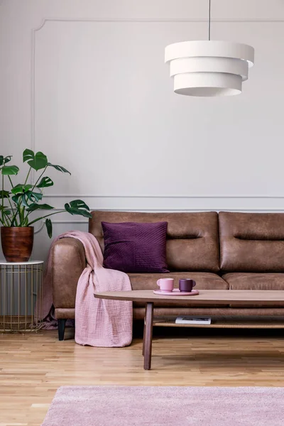 Plantera Bredvid Läder Soffa Med Rosa Filt Retro Loft Interiör — Stockfoto