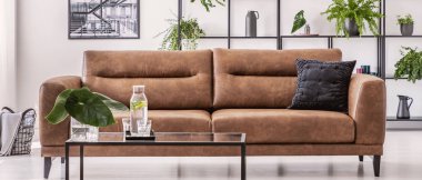 Kahverengi deri kanepe beyaz salon iç bitkiler ve poster Panoraması. Gerçek fotoğraf