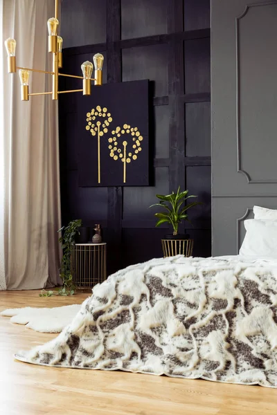 灰色卧室内有印花床 配有金色吊灯 黑色海报和植物 真实照片 — 图库照片