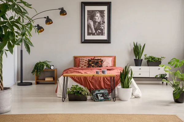 Poster Boven Rode Bed Met Deken Grijs Slaapkamer Interieur Met — Stockfoto