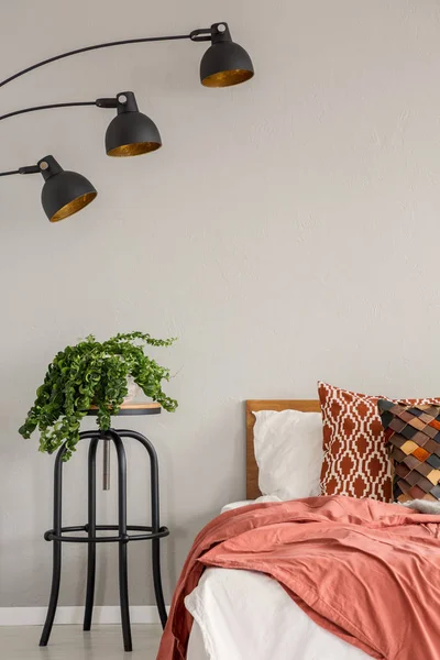 Lamp and plant on table next to red bed with pillows in grey bedroom interior. Real photo