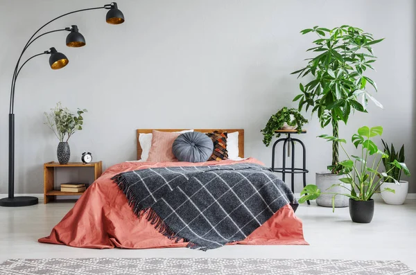 Rode Bed Met Gedessineerde Deken Tussen Lamp Planten Grijs Slaapkamer — Stockfoto