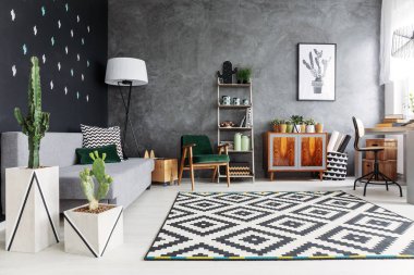 Karanlık oturma odası iç kaktüs poster, taze bitki, yastık ve geometrik halı zemin üzerinde parlak kanepeyle gerçek fotoğraf