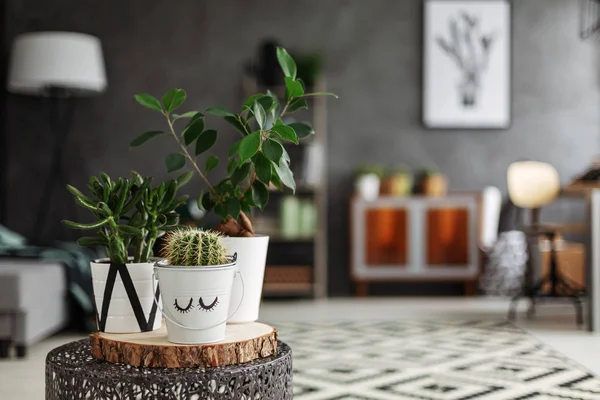 Közeli Kép Cserepes Kaktusz Két Friss Növények Elhelyezett Fém Asztalka — Stock Fotó