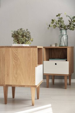 Bir dolap ve bitkiler ile arka dolapta Close-up