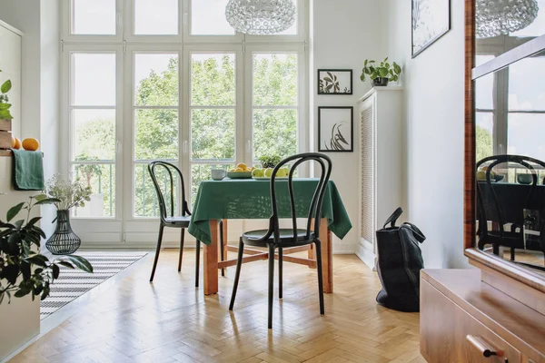 Cartazes Botânicos Emoldurados Uma Parede Branca Espaçoso Interior Sala Jantar — Fotografia de Stock