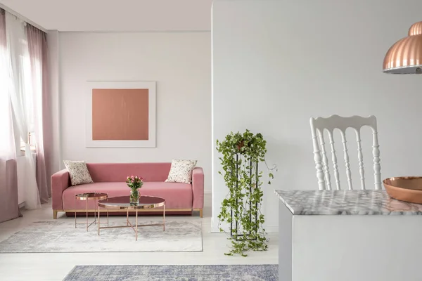 Foto Real Sofá Rosa Planta Uma Sala Estar Interior Espaço — Fotografia de Stock