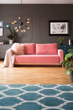 Desenli halı gri oturma odası iç lamba ve poster pembe kanepe yukarıda. Gerçek fotoğraf