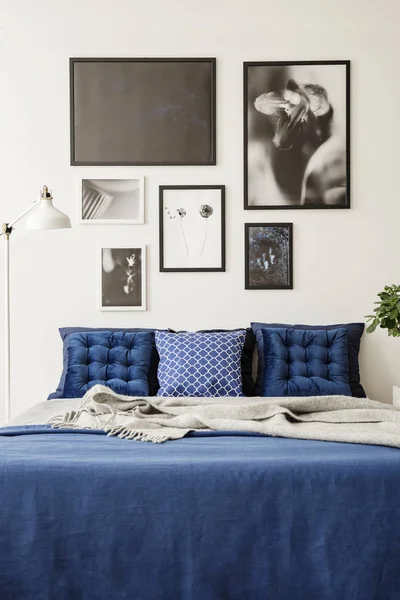 Mock Picture Gallery White Wall Large Bed Navy Blue Bedding — Stock Photo, Image