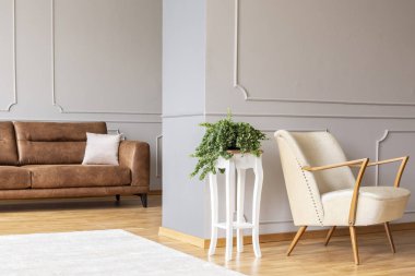 Şık beyaz ahşap bir masa retro tekli ile zarif fırınlı ve kahverengi deri kanepe yastık ile ortasında bitki