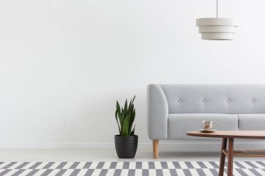 Beyaz Salon iç tesisleri, halı ve ahşap sehpa, gerçek bir fotoğraf ile gri modern kanepe üzerinde şık lamba