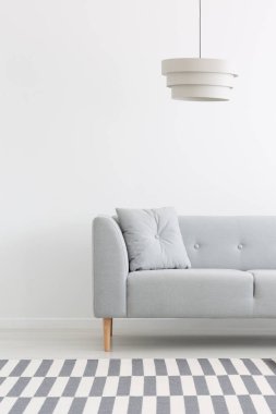 Lamba gri kanepe yastık halı ile en az beyaz salon iç ile yukarıda. Gerçek fotoğraf