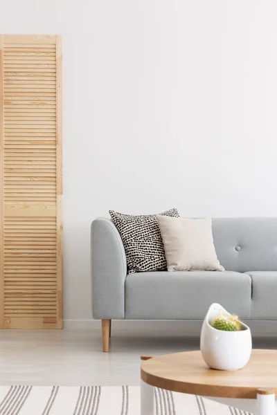 木屏幕旁边的舒适灰色沙发与枕头在宽敞的客厅 真实的照片与复制空间 — 图库照片