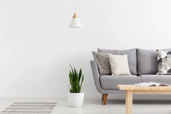 Gemusterte Kissen Auf Grauem Sofa Hellen Wohnzimmer Geräumiger Wohnung Echtes — Stockfoto