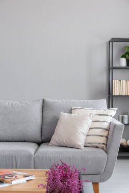 Kanepe yastıkları Grey en az oturma odası iç kopya alanı boş duvar ile. Gerçek fotoğraf