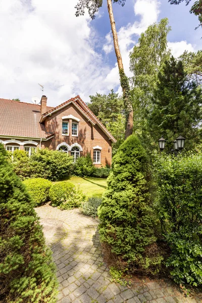 Prachtige Groene Tuin Met Evergreens Gras Kasseistrook Weg Achterkant Van — Stockfoto