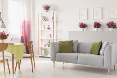 Gri kanepenin yastıkları, raf ile duvar vazolar ve Kitaplar, taze heathers, posterler ve pencere perdeleri ile beyaz salon iç