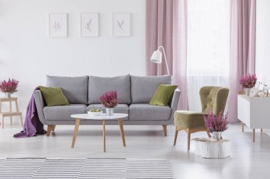 Yeşil minderler ve mor beyaz salon iç coffee table ile meyve ve heather, duvarda posterler ve beyaz ve kirli pembe perdeler ile pencere ile gerçek fotoğraf battaniyeye gri kanepe