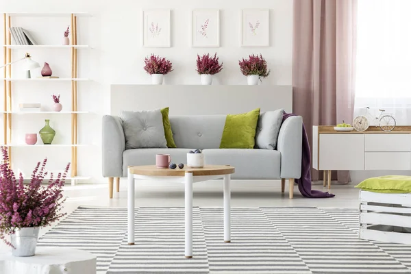 典雅的起居室配有白色家具 时尚的木质茶几 图案地毯 带枕头的灰色沙发和搁板上的希瑟 — 图库照片
