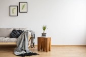 Blumenbilder in Rückenrahmen über skandinavischem Sofa mit Kissen und grauer Decke, echtes Foto mit Kopierraum an der leeren Wand