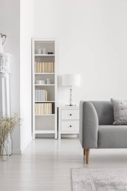Kitaplık lamba beyaz salon iç gri kanepe ve bitki ile dolapla yanında. Gerçek fotoğraf
