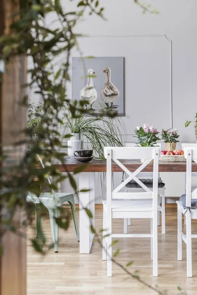 Blurred Close Plant Chair Next Dining Table Background Real Photo — Stock Photo, Image