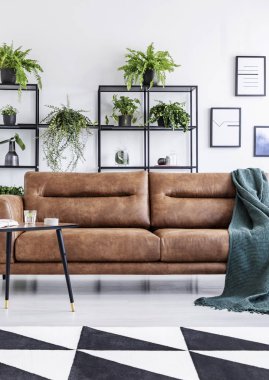 Modern kahve evi iç deri kanepe, küçük masa ve yeşil bitkiler ile dikey görünüm